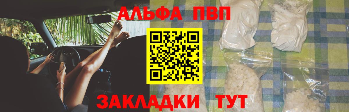 Альфа ПВП СК КРИС Дубна